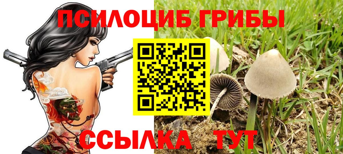 Галлюциногенные грибы Psilocybe  Псилоцибиновые грибы Psilocybe  Вход с VPN  Йошкар-Ола 