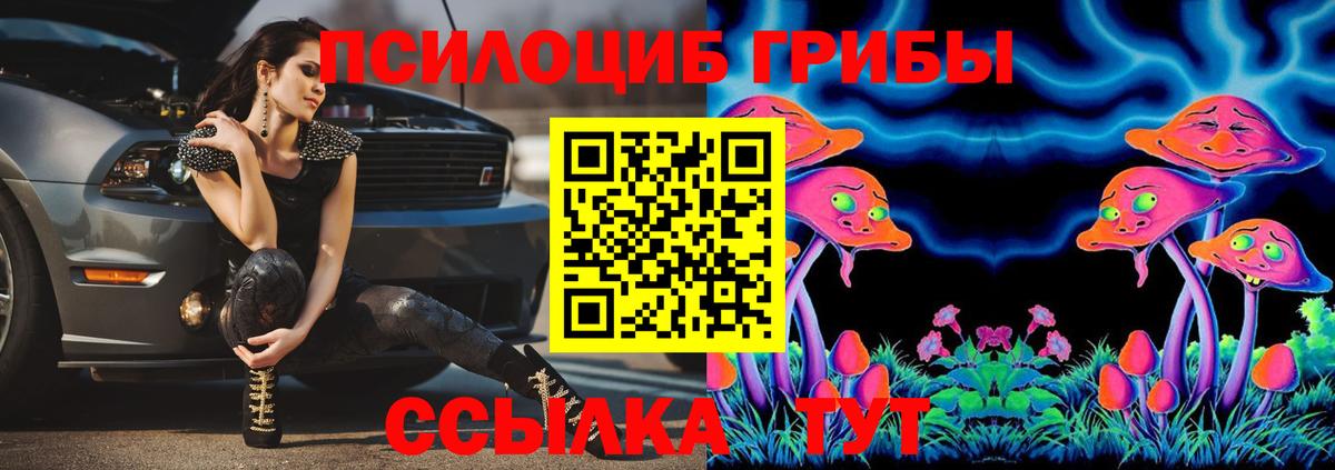 Псилоцибиновые грибы MAGIC MUSHROOMS Йошкар-Ола